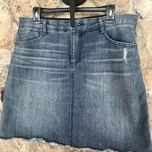 Kut from the Kloth Denim skirt